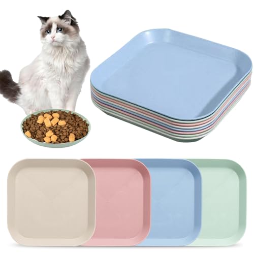 8 Stück Katzennapf Flach,Katzenschüssel,Fressnapf Katze Futternapf,Runden Katzenteller,Fressnapf Katze,Bunt Katzenfutter Napfset,Cat Plate für Kätzchen und kurzbeinige Katzen 8 Stück Katzennapf Flach,Katzenschüssel,Fressnapf Katze Futternapf,Runden Katzenteller,Fressnapf Katze,Bunt Katzenfutter Napfset,Cat Plate für Kätzchen und kurzbeinige Katzen von Sunshine smile