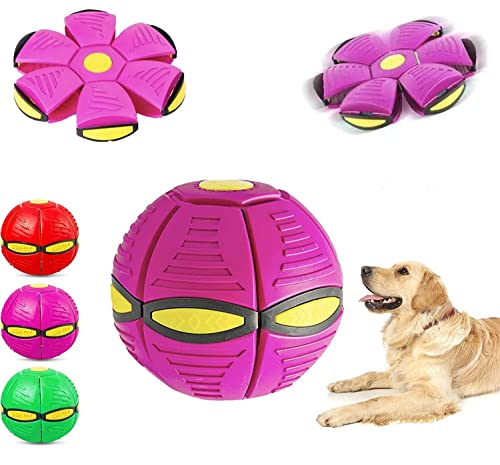 Haustier Spielzeug Frisbee Ball,Fliegender Ball für Hunde,Fliegend Untertasse Ball Spielzeug für Hunde,Fliegender Ball,Pet Toy Frisbee Ball Hund,Haustier Spielzeug Fliegende Untertasse Ball Hund von Sunshine smile