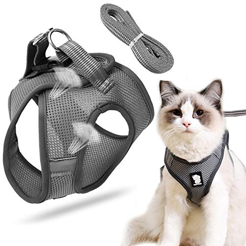 Katzenleine Mit Geschirr für Katzen, Hundegeschirr, Cat Harness and Leash, Katzengeschirr Kleine Katze, Outdoor Walking Katzenleine Mit Geschirr für Katzen, Hundegeschirr, Cat Harness and Leash, Katzengeschirr Kleine Katze, Outdoor Walking von Sunshine smile