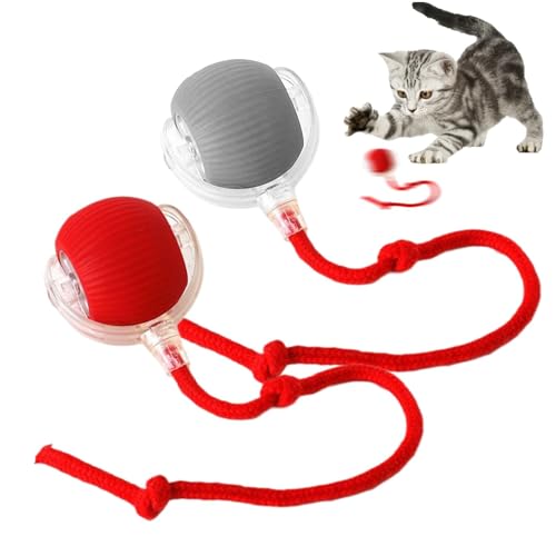 Rolling Ball,Interaktives Hundespielzeug Ball mit Schnur,Automatisch Rollender Ball für Kleine,Katzenspielzeug Elektrisch mit USB Aufladbar,Interactive Cat Toys Rolling Ball für Katzen Hunde Rolling Ball,Interaktives Hundespielzeug Ball mit Schnur,Automatisch Rollender Ball für Kleine,Katzenspielzeug Elektrisch mit USB Aufladbar,Interactive Cat Toys Rolling Ball für Katzen Hunde von Sunshine smile