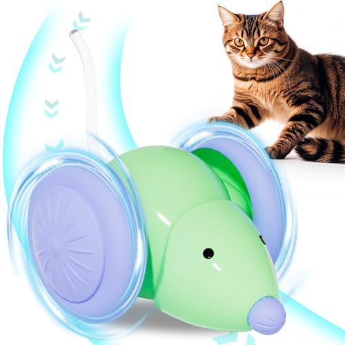 Sunshine smile Katzenspielzeug Elektrisch Spielmaus, Interaktives Katzenspielzeug, Elektrisch Ferngesteuert, Selbstbeschäftigung, Mouse Haustierspielzeug Ferngesteuert Sunshine smile Katzenspielzeug Elektrisch Spielmaus, Interaktives Katzenspielzeug, Elektrisch Ferngesteuert, Selbstbeschäftigung, Mouse Haustierspielzeug Ferngesteuert von Sunshine smile