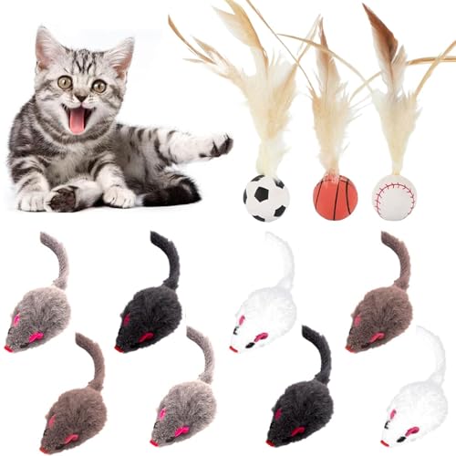 Sunshine smile 8 Stück Spielmaus für Katzen,Spielzeugmaus mit 3 Katzen-Hüpfball mit Feder,Spielmaus mit Plüschschwanz,Spielzeugmaus Katzen Fellmäuse Set,Katzenspielzeug für alle Katenrassen Sunshine smile 8 Stück Spielmaus für Katzen,Spielzeugmaus mit 3 Katzen-Hüpfball mit Feder,Spielmaus mit Plüschschwanz,Spielzeugmaus Katzen Fellmäuse Set,Katzenspielzeug für alle Katenrassen von Sunshine smile
