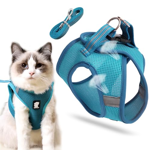 Katzenleine mit Geschirr für Katzen,Hundegeschirr,katzengeschirr mit leine,cat harness and leash,katzengeschirr kleine katze,Katzengeschirr Geschirr,Katzengeschirr und Leine Set,Outdoor Walking von Sunshine smile