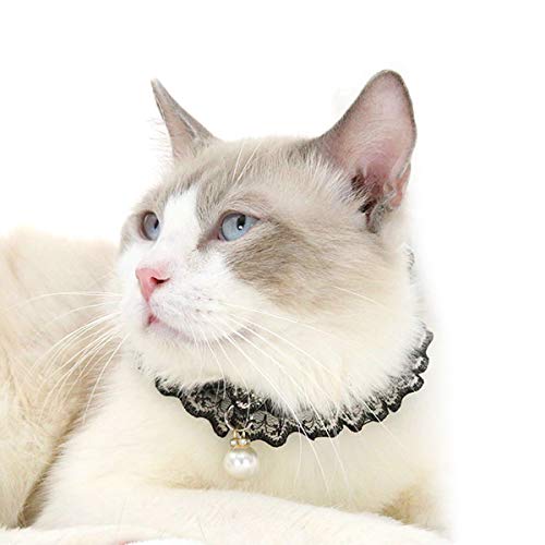 SunshineFace Katzenhalsband Halskette Haustier Katze Kätzchen Welpen Perle Anhänger Kragen Halsreif Halskette Hals 22Cm-32Cm von SunshineFace