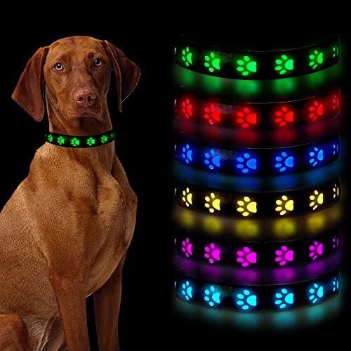 1 Stück LED Leuchthalsband Hund,Leuchthalsband Hund Aufladbar Led Halsband für Hunde, 6 Farbwechsel Led Hundehalsband Hunde Leuchthalsband Hundehalsband Leuchtend, Verstellbare Halsband Hund Leuchtend von Sunwuun