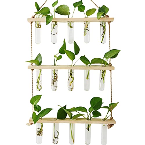 Supatmul Vermehrungsstation für Pflanzen, 3-stöckiges Wandbehang Pflanzgefäß Terrarium mit Holzständer, Glas-Pflanzgefäß Reagenzglas Blumenvase für Hydrokultur-Pflanze, Heimdekoration von Supatmul
