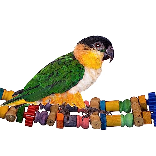 Super Bird Creations SB1157 Bambusbrücke, Vogelspielzeug, mittelgroß, 25 x 5,5 cm von Super Bird Creations