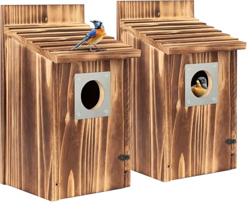 Super Idee 2er Set Nistkästen mit 38 mm Metalleinflugloch aus Massivholz für Kohlmeisen & Co. Wetterfest Meisenkästen Halbhöhle Vogelhaus für Meisen Vogelkästen zum Aufhängen Super Idee 2er Set Nistkästen mit 38 mm Metalleinflugloch aus Massivholz für Kohlmeisen & Co. Wetterfest Meisenkästen Halbhöhle Vogelhaus für Meisen Vogelkästen zum Aufhängen von Super Idee