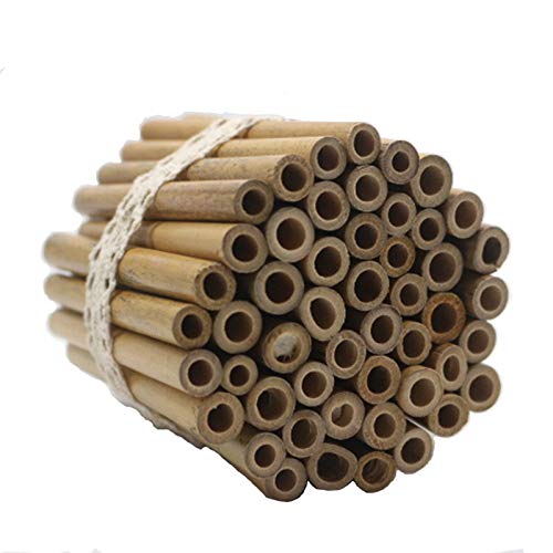 Super Idee 50 Stück 10cm Länge Bambusröhrchen zum selber Bauen Wiederverwendbaren Basteln aus Bambus für Insektenhaus Wildbienenhotel Wildbienenhaus Bienenhotel Nisthilfen von Super Idee
