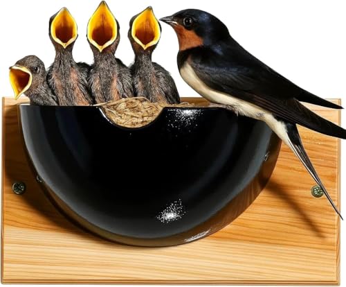 Super Idee Schwalbennest Hotel Schwegler Nistkasten Vogelkasten Nisthilfe Natur für Mehlschwalben aus Massiv-Holz wetterfest Schwalben Nistkasten von Super Idee