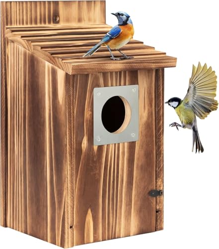 Super Idee Vogelhäuschen Nistkasten für Vögel Amsel Rotkehlchen Vogelkasten zum Aufhängen Verbranntes Holz mit Nägeln zur Befestigung Nisthilfe mit 38 mm Metalleinflugloch Super Idee Vogelhäuschen Nistkasten für Vögel Amsel Rotkehlchen Vogelkasten zum Aufhängen Verbranntes Holz mit Nägeln zur Befestigung Nisthilfe mit 38 mm Metalleinflugloch von Super Idee