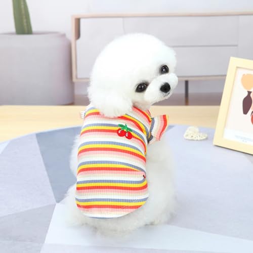 Haustierkleidung Hundebekleidung Kleine Hundekleidung Haustierbekleidung Frühling und Sommer Hundezubehör Bunte gestreifte Rockwesten (Orangefarbene Weste, 2XL) von Super Yafei