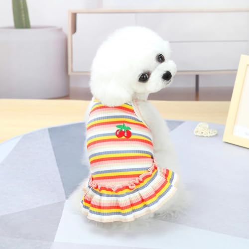 Haustierkleidung Hundebekleidung Kleine Hundekleidung Haustierbekleidung Frühling und Sommer Hundezubehör Bunte gestreifte Rockwesten (Oranger Rock, 2XL) von Super Yafei