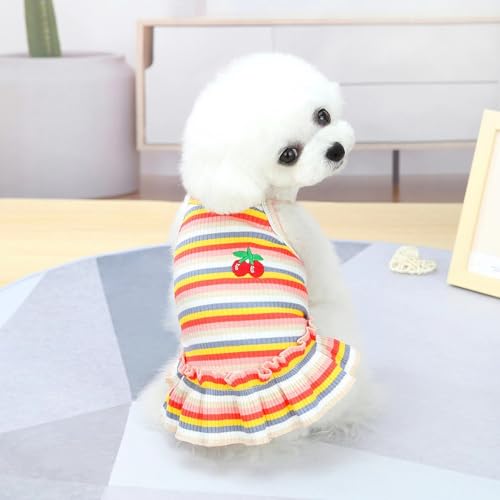 Haustierkleidung Hundebekleidung Kleine Hundekleidung Haustierbekleidung Frühling und Sommer Hundezubehör Bunte gestreifte Rockwesten (Oranger Rock, XL) von Super Yafei