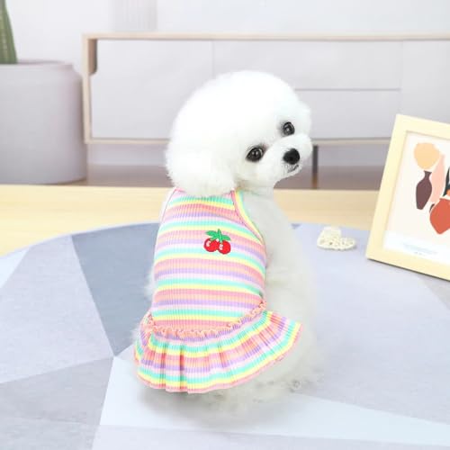Haustierkleidung Hundebekleidung Kleine Hundekleidung Haustierbekleidung Frühling und Sommer Hundezubehör Bunte gestreifte Rockwesten (Rosa Rock, S) von Super Yafei