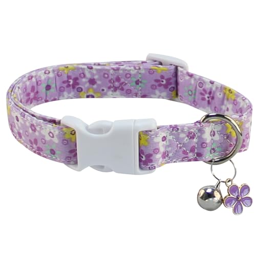 SuperBuddy Hundehalsband, verstellbares Hundehalsband, Haustierhalsband für Hunde, weiche Fliege, Hundehalsbänder für kleine, mittelgroße und große Haustiere SuperBuddy Hundehalsband, verstellbares Hundehalsband, Haustierhalsband für Hunde, weiche Fliege, Hundehalsbänder für kleine, mittelgroße und große Haustiere von SuperBuddy