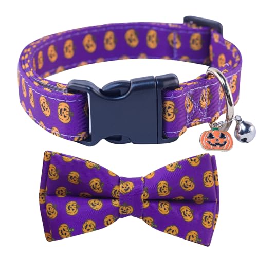 Wang Sheng-3 Wang Sheng-3 von SuperBuddy