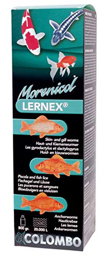 COLOMBO MORENICOL LERNEX KOI WURMBEFALL 800 ML von Superfish