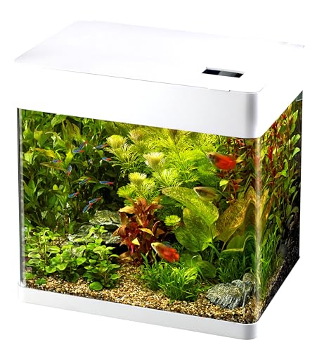 Superfish Panorama Aquarium - 45.5x29.5x45.5 cm - 50L - Wit von Superfish