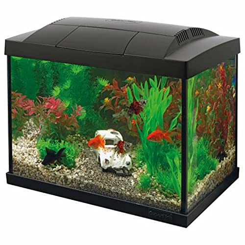 SF Goldfisch Start Set 20 schwarz inkl. LED Lampe, Innenfilter, Wasseraufbereiter, Futter, Thermometer und Kescher von Superfish