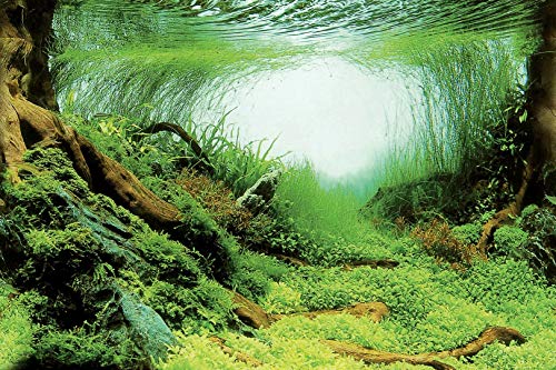 Superfish Deco Poster C2 Aquarium-Hintergrund, 60 x 49 cm von Superfish