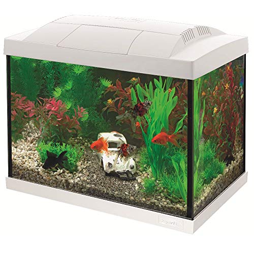 Superfish Start 20 Goldfish Aquarium LED - 36 x 23 x 32.1 cm - 20 L - Wit von Superfish