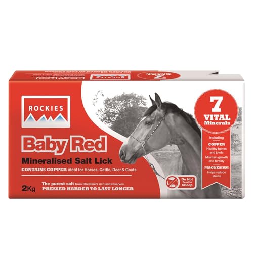 Rockies Roter Mineralsalzleck, 10 kg, 2 Stück von Supervim