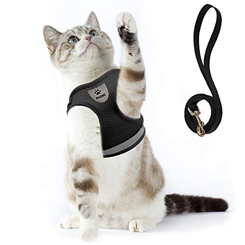Katzengeschirr und Leine Set zum Spazierengehen Katze kleine Hunde Geschirr Weiches Mesh Verstellbar Weste mit Reflektierendem Gurt Bequeme Passform für Haustier Kätzchen Welpen Kaninchen von Supet