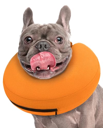 Supet Halskrause Hund, Aufblasbares Halskrause für Hunde und Katzen Alternative Nach der Operation, Einstellbar Bequem Schutzkragen Supet Halskrause Hund, Aufblasbares Halskrause für Hunde und Katzen Alternative Nach der Operation, Einstellbar Bequem Schutzkragen von Supet