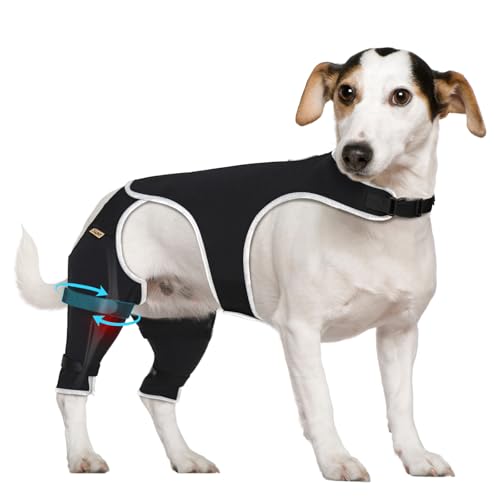 Supet Hinterbeinmanschette für Hunde, um Lecken zu stoppen - für TPLO-Operationen, Wundschutz, sichere Passform, kaufest, waschbar, Erholungsmanschette für Hunde, geeignet für männliche und weibliche Supet Hinterbeinmanschette für Hunde, um Lecken zu stoppen - für TPLO-Operationen, Wundschutz, sichere Passform, kaufest, waschbar, Erholungsmanschette für Hunde, geeignet für männliche und weibliche von Supet