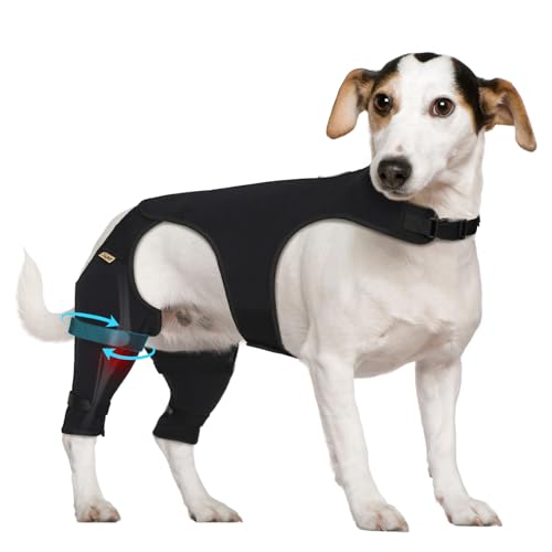 Supet Hunde-Hinterbeinmanschette gegen Lecken - Anti-Lecken, für TPLO-Operationen, Wundschutz, sichere Passform, kaubeständig, waschbar, für Hunde geeignet, geeignet für männliche und weibliche Supet Hunde-Hinterbeinmanschette gegen Lecken - Anti-Lecken, für TPLO-Operationen, Wundschutz, sichere Passform, kaubeständig, waschbar, für Hunde geeignet, geeignet für männliche und weibliche von Supet