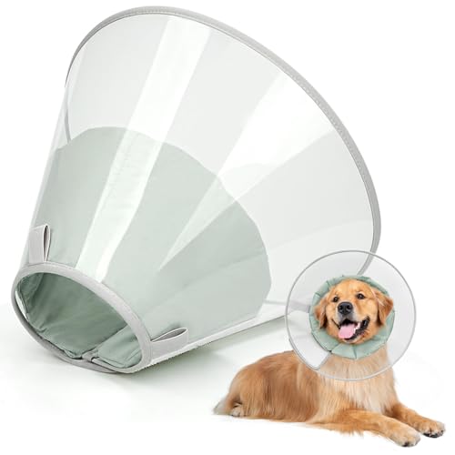 Supet Halskrause Hund zum Verhindern des Leckens mit weichem Polster, klare Elizabeth-Recovery-Halskrause nach Operation, Alternative Kopfkrause für große, mittlere und kleine Hunde(Grün,L) von Supet