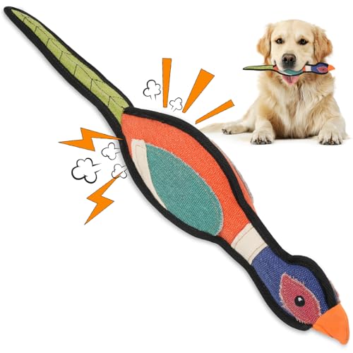 Supet Hundespielzeug aus Plüsch, Quietschspielzeug, Hundespielzeug, 01-Fasan von Supet