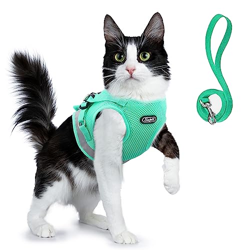 Supet Katzengeschirr und Leine, Set für Spaziergänge mit Katzen und kleinen Hunden, weiches Netzgeschirr, verstellbar, Katzengeschirr mit reflektierendem Riemen, Bequeme Passform für Haustier, von Supet