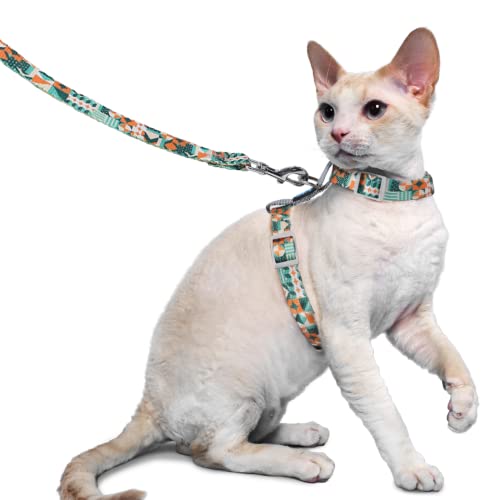 Supet Katzengeschirr und Leine, ausbruchsicher Katzenweste für kleine große Katzen, verstellbare Katzenhalsbänder, Geschirre und Leinen zum Gehen, leichtes Kätzchengeschirr Supet Katzengeschirr und Leine, ausbruchsicher Katzenweste für kleine große Katzen, verstellbare Katzenhalsbänder, Geschirre und Leinen zum Gehen, leichtes Kätzchengeschirr von Supet