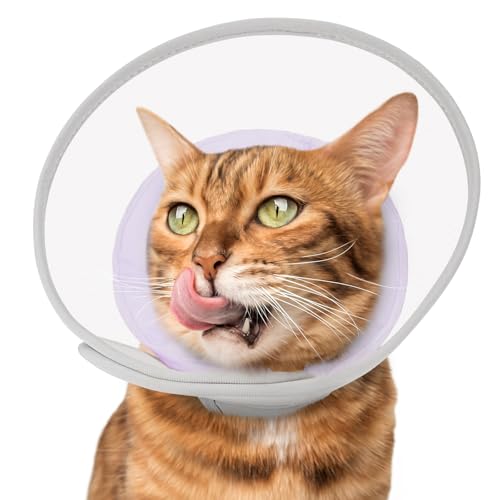 Supet Katzenkegel-Halsband weich: bequemer, wasserdichter Netz-Wiederherstellungskegel nach Operationen, um Lecken und Kratzer zu stoppen, Alternative zu Elizabeth-Kegel aus Kunststoff (lila, L) von Supet