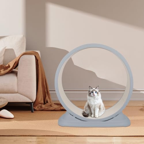 Laufrad für Katzen, 80 cm, Laufmatte für Katzen, Kratzkissen, Sicherheitsrollmatte, Kätzchen, zum Laufen, Walken, Training (Grau) von Supfine
