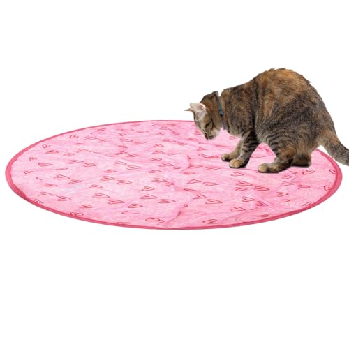 Simulated Interactive Cat Hunting Toy | Guitar Cat Toy,Cat Hunting Toys for Indoor Cats,Cat Toy Tunnel,Cat Chasee Toy,Boredom Relief Cat Toy,Interactive Hunting Cat Toy von Suphyee