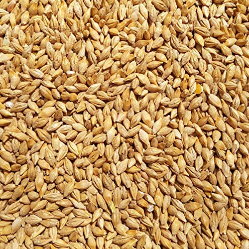 Supravit Braugerste 5kg - Ergänzungsfutter für Hühner und Tauben - energiereiches Zusatzfutter liefert wertvolle Kohlenhydrate - leicht verdaulich und gut verträglich von Supravit
