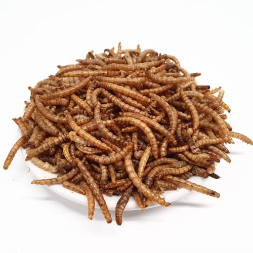 SUPRAVIT Mehlwürmer getrocknet 5kg (entspricht 32,5 Liter) | Leckeres Insektenfutter für Wildvögel Hühner Igel und Hamster von Supravit