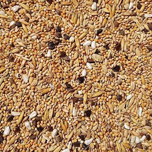 Supravit Agaporniden & Neophemafutter 2,5kg I abwechslungsreiche Mischung aus gesunden Körnern & Saaten I für die tägliche Fütterung von Sittichen & Papageien… von Supravit