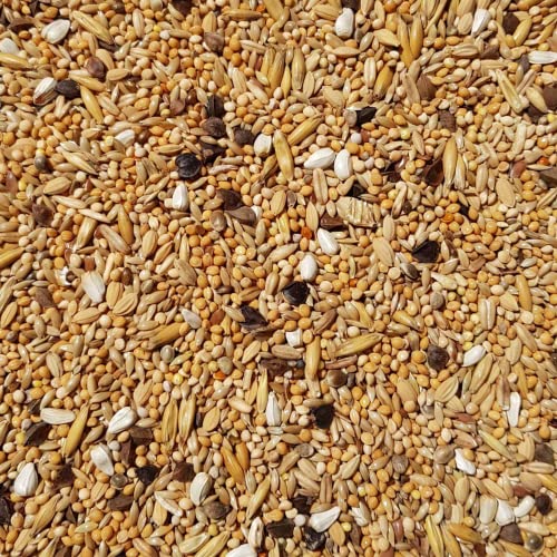 Supravit Agaporniden & Neophemafutter 5kg I abwechslungsreiche Mischung aus gesunden Körnern & Saaten I für die tägliche Fütterung von Sittichen & Papageien… von Supravit