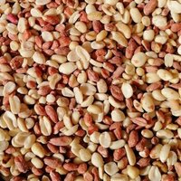 Supravit Erdnüsse rot mit Haut - Top Erdnusskerne Vogelfutter Wildvogelfutter Fettfutter 2,5 kg Supravit Erdnüsse rot mit Haut - Top Erdnusskerne Vogelfutter Wildvogelfutter Fettfutter 2,5 kg von Supravit