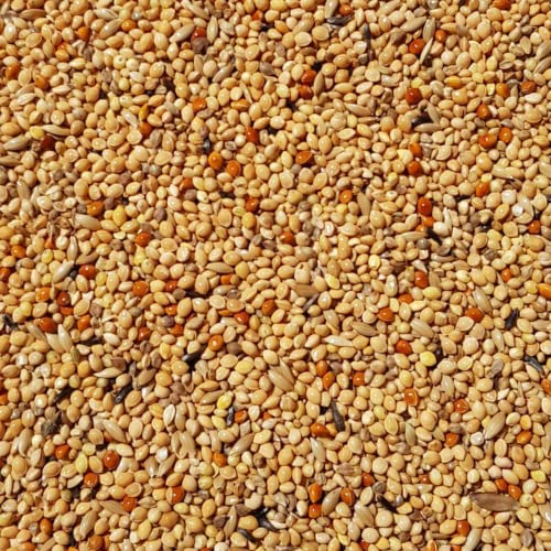 Supravit Exotenfutter 5kg - hochwertiges Mischfutter für exotische Finken - enthält wertvolle Hirse & Saaten I kräftigt das Federkleid & unterstützt die Paarungsbereitschaft beim Vogel… von Supravit