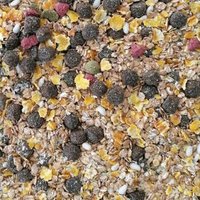 Supravit Flockenmix Plus für Hunde - schmackhafte Flockenmischung für deinen Hund - optimale Ergänzung zur Fleischfütterung, Hundewurst oder Trockenfleisch… Supravit Flockenmix Plus für Hunde - schmackhafte Flockenmischung für deinen Hund - optimale Ergänzung zur Fleischfütterung, Hundewurst oder Trockenfleisch… von Supravit