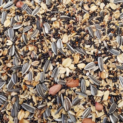 Supravit Freilandfutter für Vögel 5kg I energiereiches & proteinreiches Vogelfutter für Freilandvögel & Wildvögel I ideal zur Fütterung Aller freilebenden Vogel-Arten im Sommer geeignet von Supravit