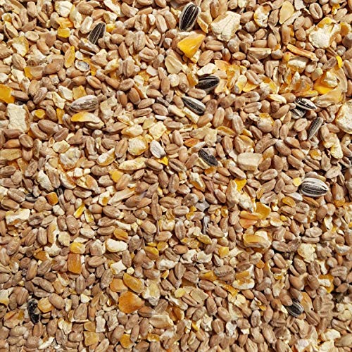 Supravit Geflügelkörnerfutter 2,5kg ohne Gentechnik - Körnermischung für Geflügel, Hühner, Wachteln & Enten - ideal als Alleinfutter, Zusatzfutter & Winterfutter geeignet von Supravit