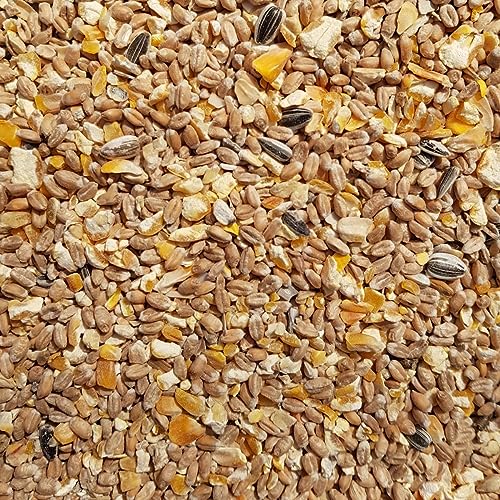 Supravit Geflügelkörnerfutter 5kg ohne Gentechnik - Körnermischung für Geflügel, Hühner, Wachteln & Enten - ideal als Alleinfutter, Zusatzfutter & Winterfutter geeignet von Supravit