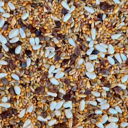 Supravit Vogelfutter Großsittiche Spezial 5kg - leicht bekömmliches Sittich Futter ohne Sonnenblumenkerne I schmackhaftes Alleinfutter für Ziervögel & Papageien von Supravit