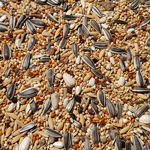 SUPRAVIT Großsittichfutter 2,5 kg - Körnermischung für Großsittiche - Großsittich Vogelfutter mit Sonnenblumenkerne - Körnerfutter für Sittiche - enthält wichtige Nährstoffe & Mineralien von SUPRAVIT